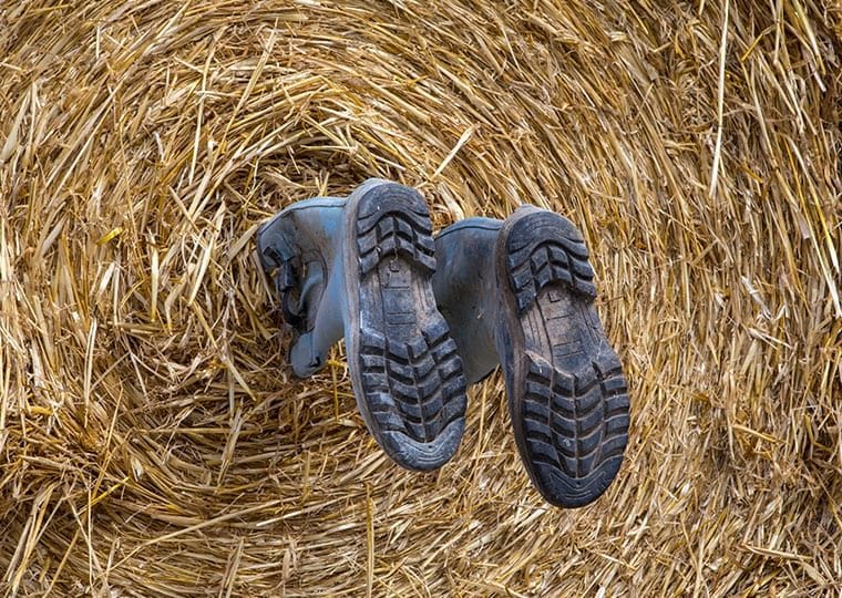 a pair of legs sticking out of a bale of hay